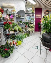 Duthil Sandrine image 17