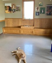 Taylor Animal Hospital Of Smithville image 5