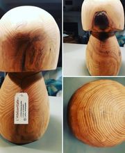 L'Arbre Remarquable image 2