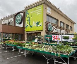 GAMM VERT image 10