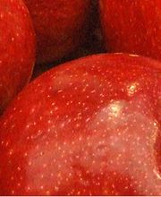 PAGANINI Frutta SA Bild 1