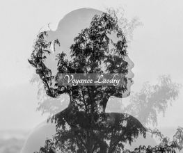 Voyance Laodry image 1