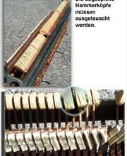 Hammerköpfe - Klaviere | Alexander Ostrovski | München