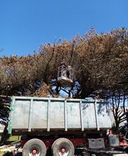 Guillec Alain image 3