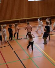 Karate-Minis
