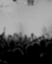 david bergermann Bild 1