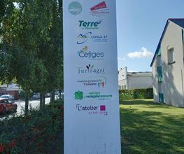 AS CEFIGA 37 image 1
