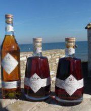 Les Vignerons de l'Ile de Ré image 4