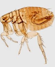 Bio Konzept Bild 3