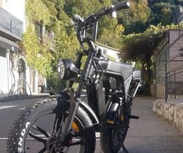 LM FatBikes image 4