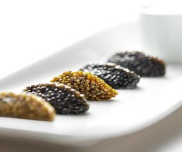 Planet Caviar SA Bild 14