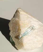 Roig Raymond image 14