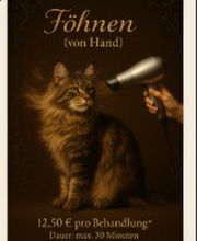 Screenshot 2025-10-23 172504.png