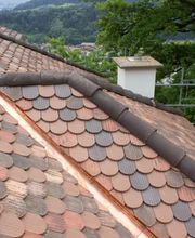 bieridach gmbh Bild 7