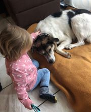 Patricia Cordes Bild 1