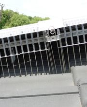 Taubenschutz & Consulting Bild 2