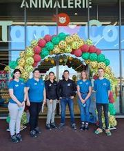 Tom&Co Saint-Gilles-Croix-De-Vie image 2