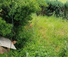 Schäfer Haus- und Gartenservice Bild 10