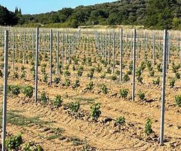 AGRI REA image 5