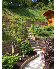 Kiesel Albert Bild 1