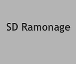 SD Ramonage image 4