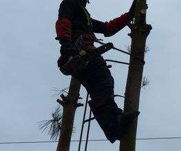 Gestin Environnement image 9