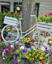 Anna Binar Floristik Bild 2