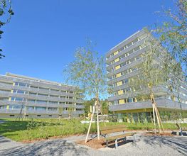 Zollinger Immobilien Bild 3