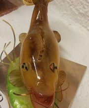 Jarraud-Bekkouche image 7