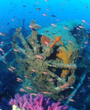 Divin' Giens image 18