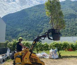 MOMO GIARDINI SA - GIARDINIERE LOCARNO, AFC / EFZ Bild 11