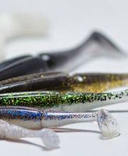 Saint Go Pêche image 11