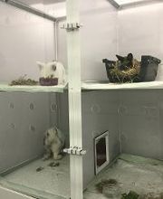 Clínica Veterinaria Okapi imagen 18