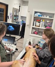 River Oak Vet image 20