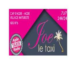 Joe Le Taxi image 2