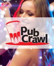 PubCrawl Team Bild 1