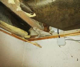 TCL 43 image 3