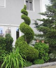 PALMENSTADL Bild 4