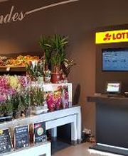 EDEKA Brehme Bild 3