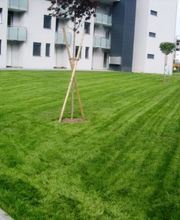 Jardins-soignés SA Bild 5