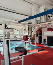 Ecole de boxe pugilistique et de sport associé image 14