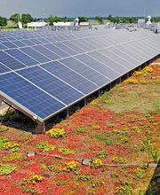 Dachdecker Wirth GmbH Köln Bild 4