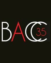 Bonaud Audit Comptabilite Conseil image 2