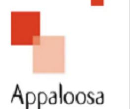 Appaloosa image 2