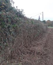 Les Touches Vertes image 6