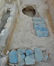 IN SITU SCP imagen 17