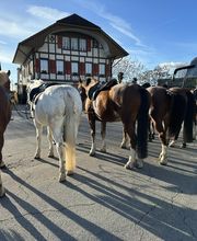 Reitstall Bühl Bild 14