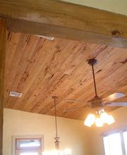 Cajun Cypress image 14