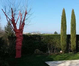 EA Cap Vert image 9