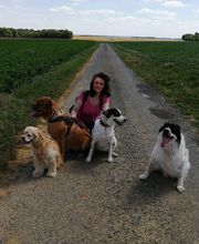 V'Educ-ton-chien image 1